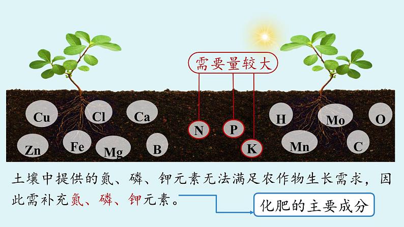 第十单元 课题3 常见的盐（第四课时）课件第6页