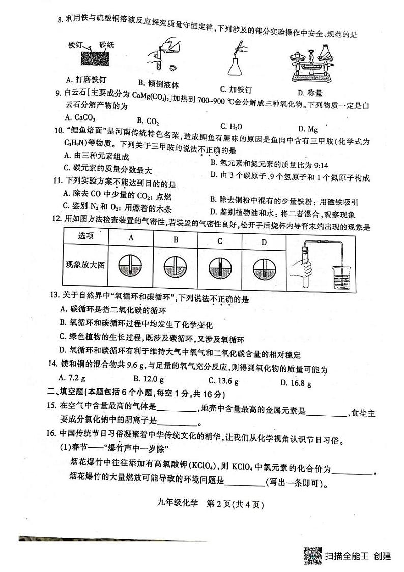 河南省平顶山市2024-2025九年级上学年期末调研化学试题第2页