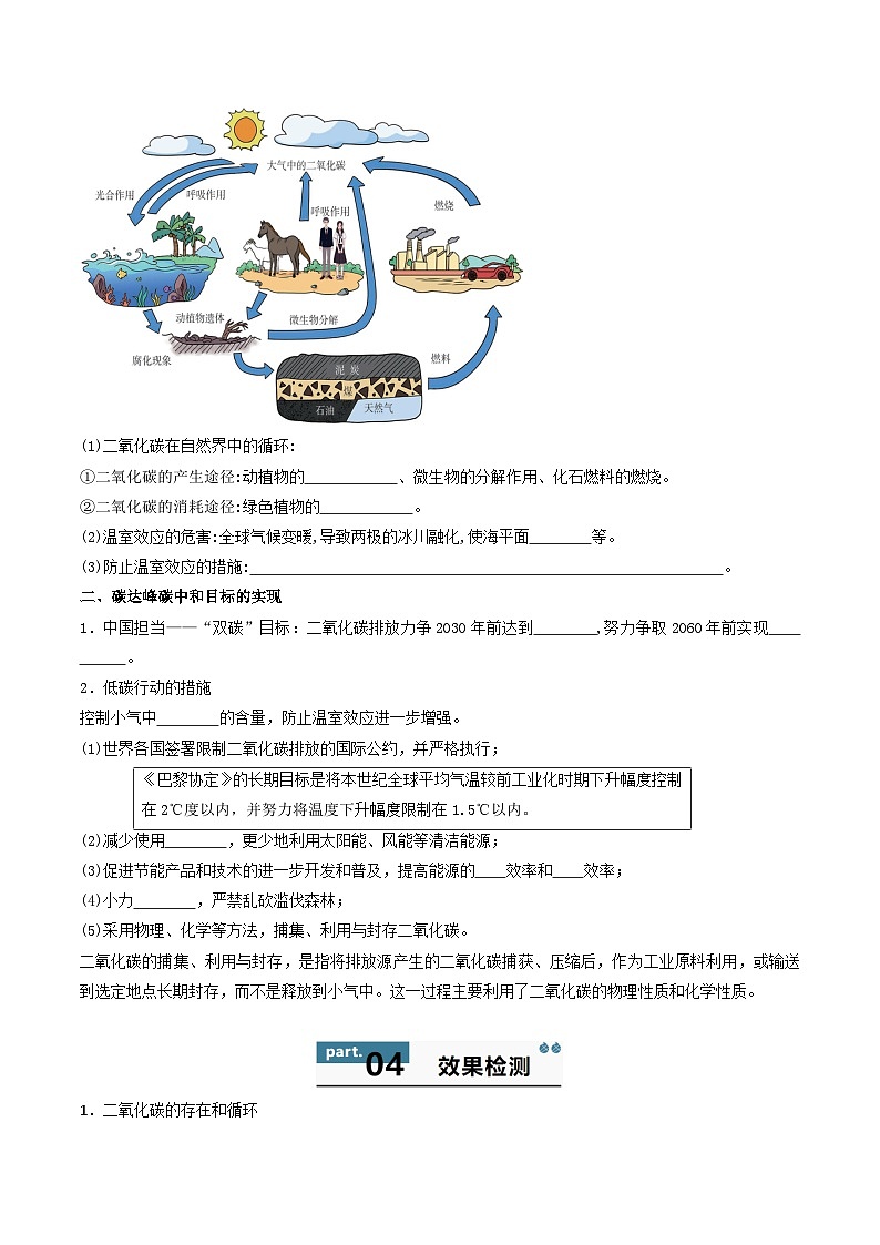九年级初中化学上册同步讲义（新沪教版）5.3自然界中的碳循环（学生版）第2页
