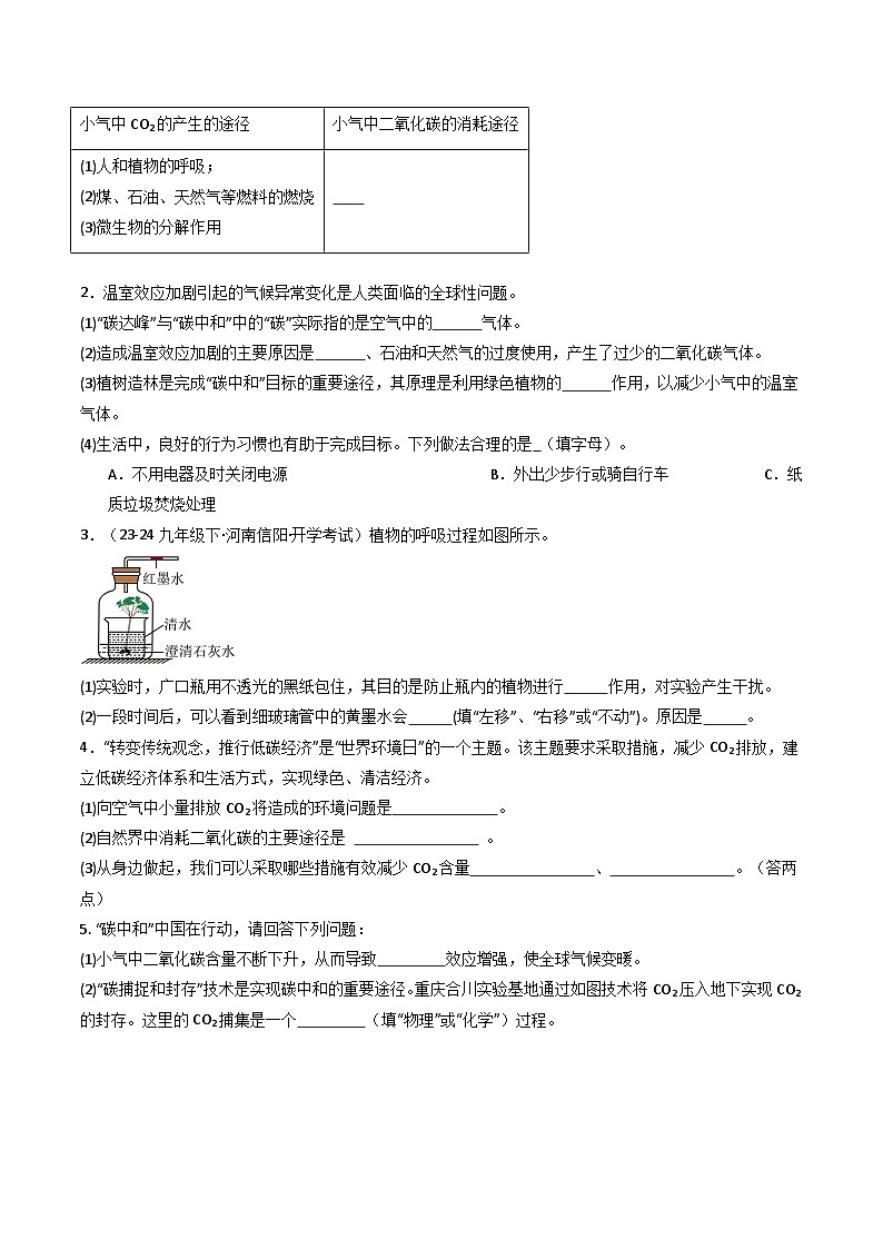九年级初中化学上册同步讲义（新沪教版）5.3自然界中的碳循环（学生版）第3页