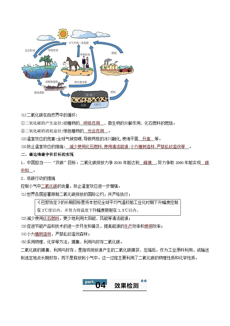 九年级初中化学上册同步讲义（新沪教版）5.3自然界中的碳循环（教师版）第2页