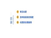 8.5 化學(xué)肥料-初中化學(xué)九年級(jí)下冊(cè)同步教學(xué)課件+同步練習(xí)（科粵版2024）