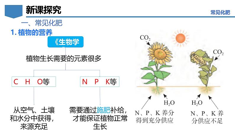 8.5 化学肥料-初中化学九年级下册同步教学课件（科粤版2024）第6页