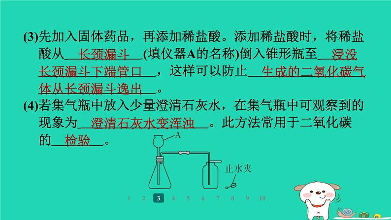 福建省2024九年级化学上册第5章奇妙的二氧化碳第2节二氧化碳的实验室制法课件沪教版第6页