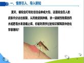 化學(xué)下冊 第十單元 課題2 常見的酸和堿（第4課時）課件+教學(xué)設(shè)計+導(dǎo)學(xué)案
