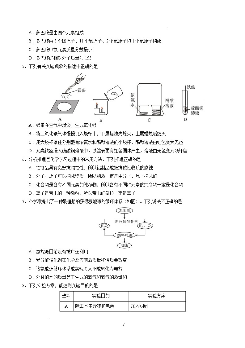 九年级化学开学摸底考（考试版）【测试范围：第1~8单元】（人教版2024）A4版第2页