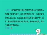 2024九年级化学上册第一部分综合培优练培优练5化学实验与科学探究习题课件沪教版