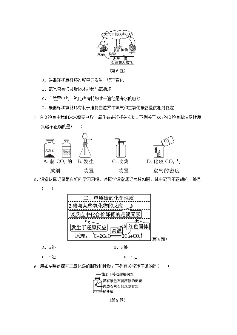 辽宁省2024九年级化学上册第六单元碳和碳的氧化物学情评估试卷（附答案人教版）第2页