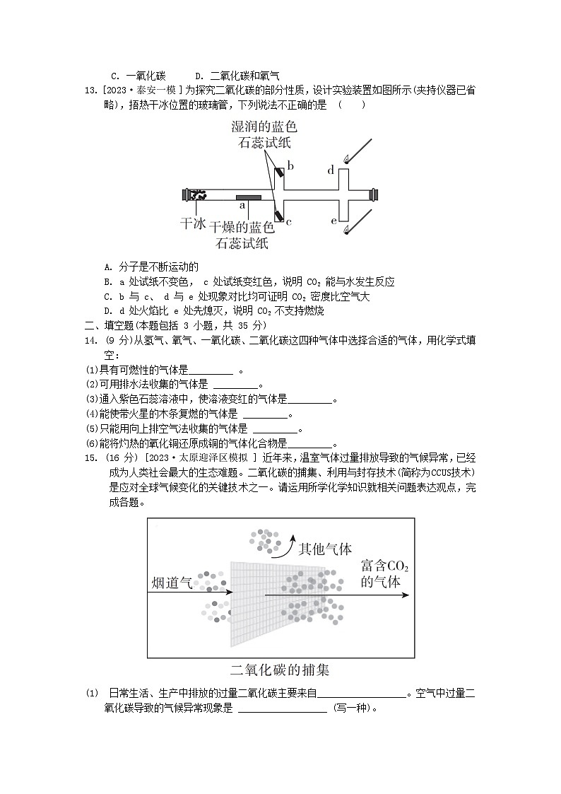 2024九年级化学上册第六单元碳和碳的氧化物综合素质评价试卷（附答案人教版）第3页