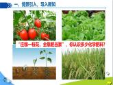 化學下冊 第十單元 課題3 常見的鹽（第4課時）課件+教學設計+導學案