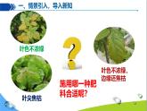 化學下冊 第十單元 課題3 常見的鹽（第4課時）課件+教學設計+導學案