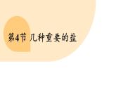 滬教版（2024）九年級(jí)化學(xué)下冊(cè) 8.4 幾種重要的鹽（課件）