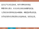 滬教版（2024）九年級(jí)化學(xué)下冊(cè) 8.4 幾種重要的鹽（課件）
