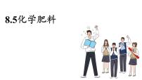 科粤版（2024）九年级下册（2024）第八单元 常见的酸、碱、盐8.5 化学肥料图文课件ppt