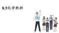 科粤版（2024）九年级下册（2024）第八单元 常见的酸、碱、盐8.5 化学肥料图文课件ppt