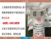 科粵版（2024）九年級(jí)化學(xué)下冊(cè)8.5化學(xué)肥料（課件）