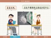 魯教版（2024）化學(xué)九年級(jí)下冊(cè) 7.2 堿及其性質(zhì)(課件）