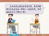魯教版（2024）化學(xué)九年級(jí)下冊(cè) 7.2 堿及其性質(zhì)(課件）