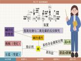 魯教版（2024）化學(xué)九年級(jí)下冊(cè) 7.3 溶液的酸堿性(課件）