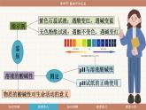 魯教版（2024）化學(xué)九年級下冊 7.4 酸堿中和反應(yīng)(課件）