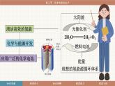 魯教版（2024）化學九年級下冊 11.3 化學與農(nóng)業(yè)生產(chǎn)(課件）