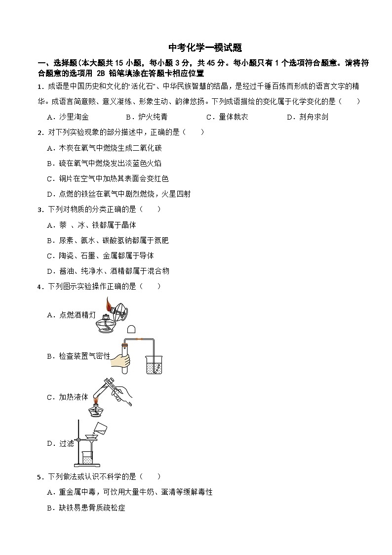 湖南省益阳市大通湖区2025年中考化学一模试题含答案第1页