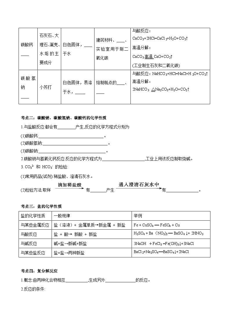 第十一单元 盐+化肥-【大单元复习】最新中考化学一轮复习备考学案（人教版）第2页