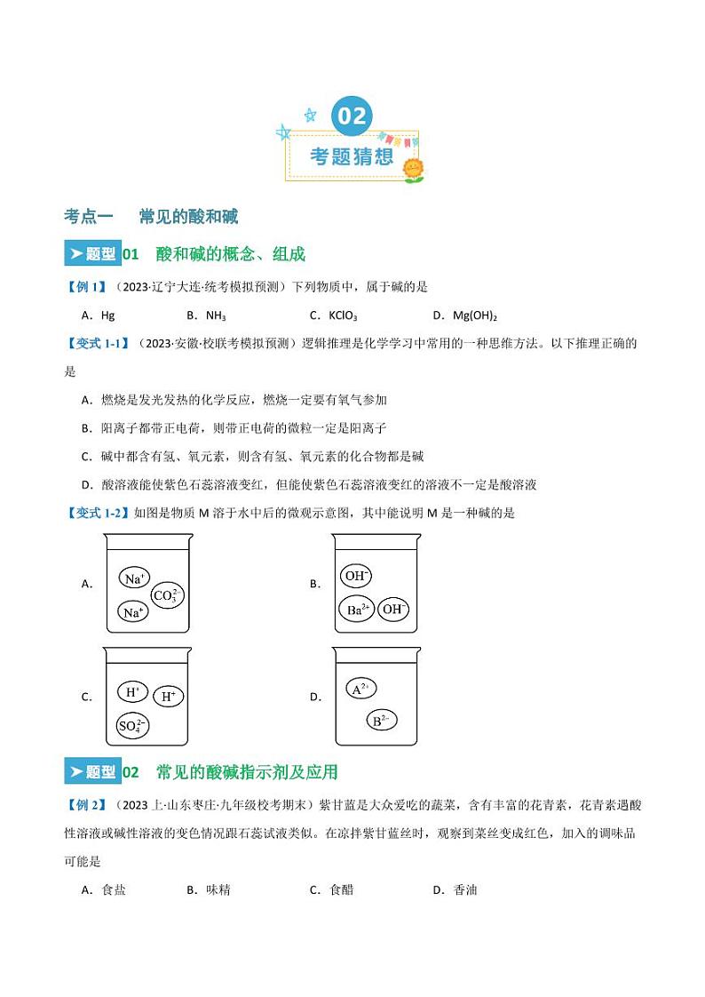 第十单元 酸和碱（20大题型）（学生版） 2023-2024学年九年级化学中考考点大串讲（人教版）第2页