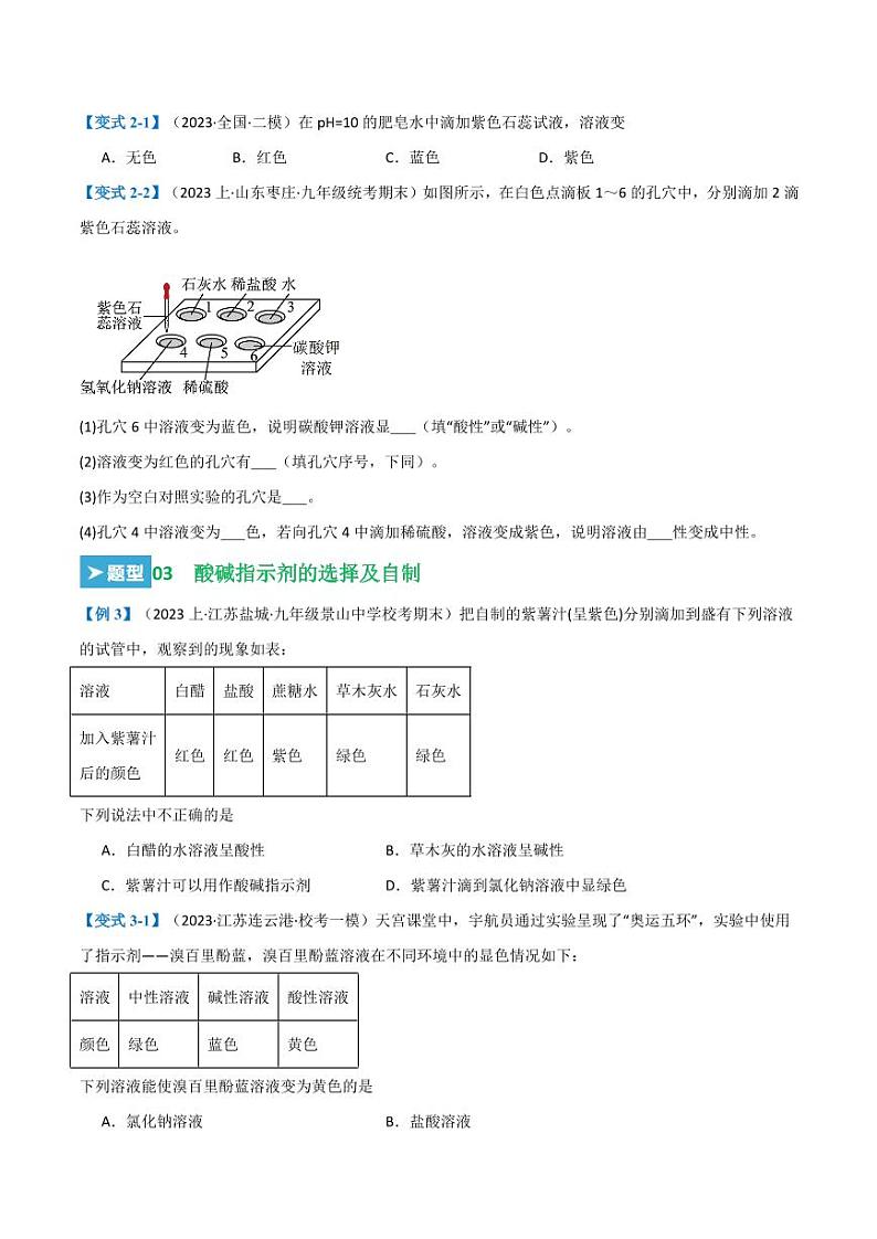 第十单元 酸和碱（20大题型）（学生版） 2023-2024学年九年级化学中考考点大串讲（人教版）第3页