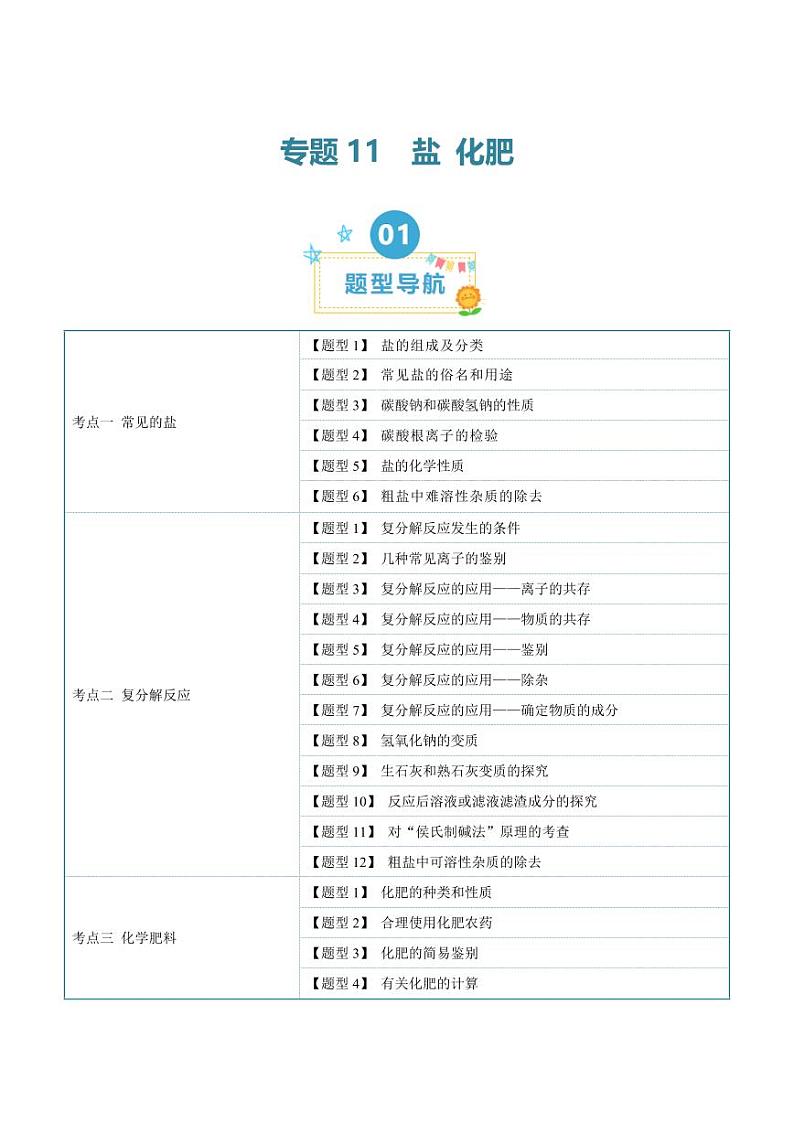 第十一单元 盐 化肥（22大题型）（学生版） 2023-2024学年九年级化学中考考点大串讲（人教版）第1页