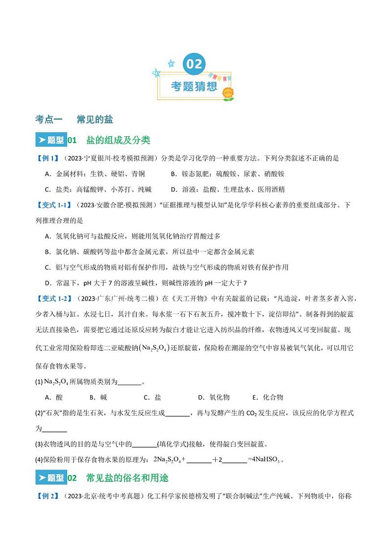 第十一单元 盐 化肥（22大题型）（学生版） 2023-2024学年九年级化学中考考点大串讲（人教版）第2页