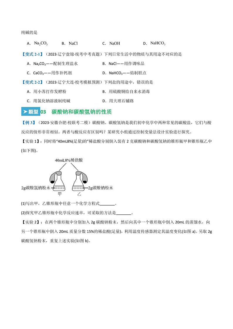 第十一单元 盐 化肥（22大题型）（学生版） 2023-2024学年九年级化学中考考点大串讲（人教版）第3页