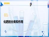 【人教版】九下化學 10.3 常見的鹽（第3課時）（課件+練習）