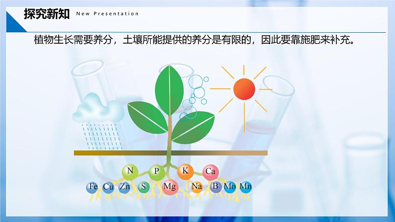 10.3 常见的盐（第3课时）（同步课件）- 第6页