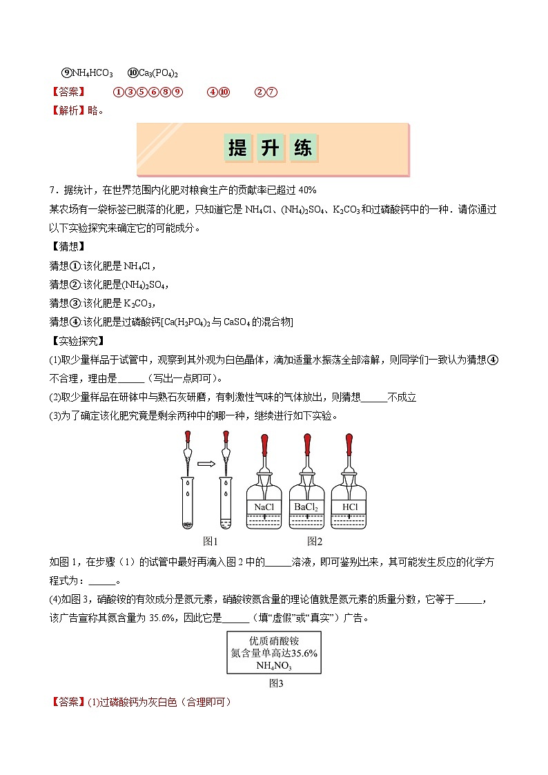10.3 常见的盐（第3课时）（分层练习）（解析版）第3页