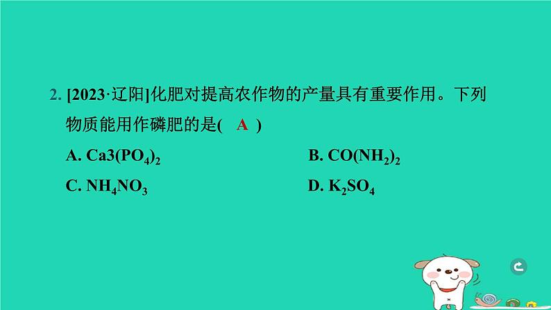 辽宁省2024中考化学第一部分身边的化学物质物质5常见的酸碱盐第3课时盐化肥课件第3页