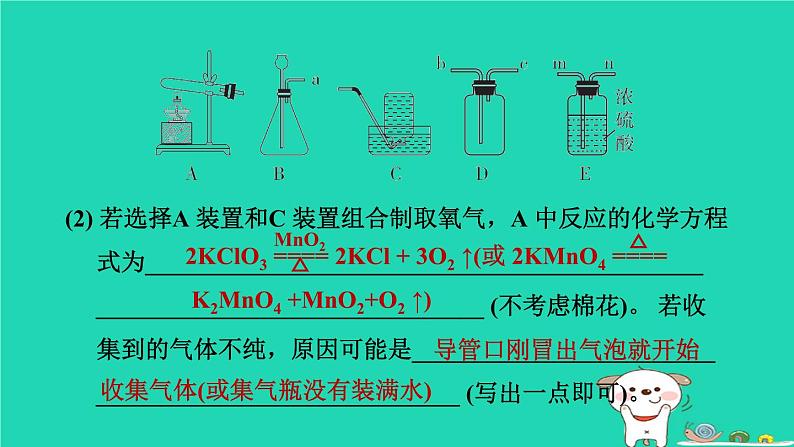 辽宁省2024中考化学第五部分化学实验第2课时气体的制取与净化课件第5页