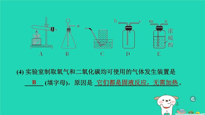 辽宁省2024中考化学第五部分化学实验第2课时气体的制取与净化课件第7页