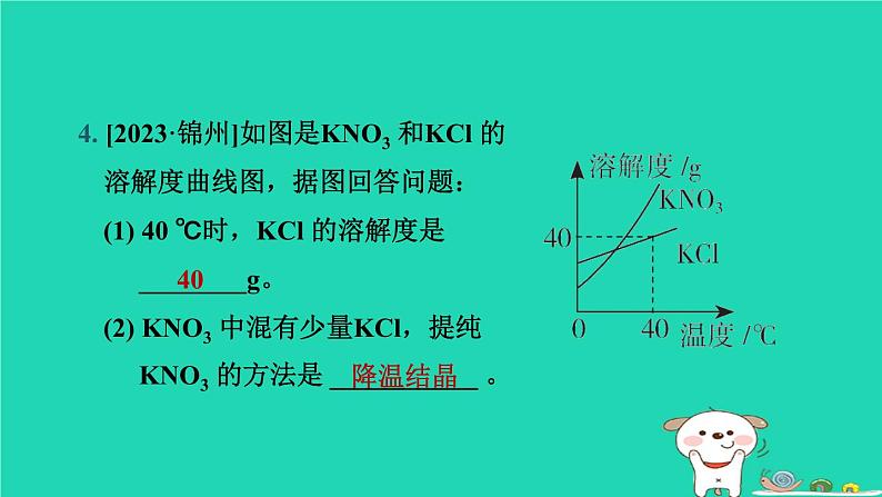 辽宁省2024中考化学第一部分身边的化学物质物质3水溶液第2课时溶液课件第6页