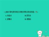 湖北省2024中考化学第四单元自然界的水第1课时水课件