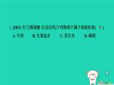 湖北省2024中考化学第九单元溶液课件