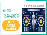 第二節(jié) 化學元素與人體健康（同步課件）-2024-2025學年九年級化學下冊（魯教版2024）