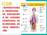 第二節(jié) 化學元素與人體健康（同步課件）-2024-2025學年九年級化學下冊（魯教版2024）