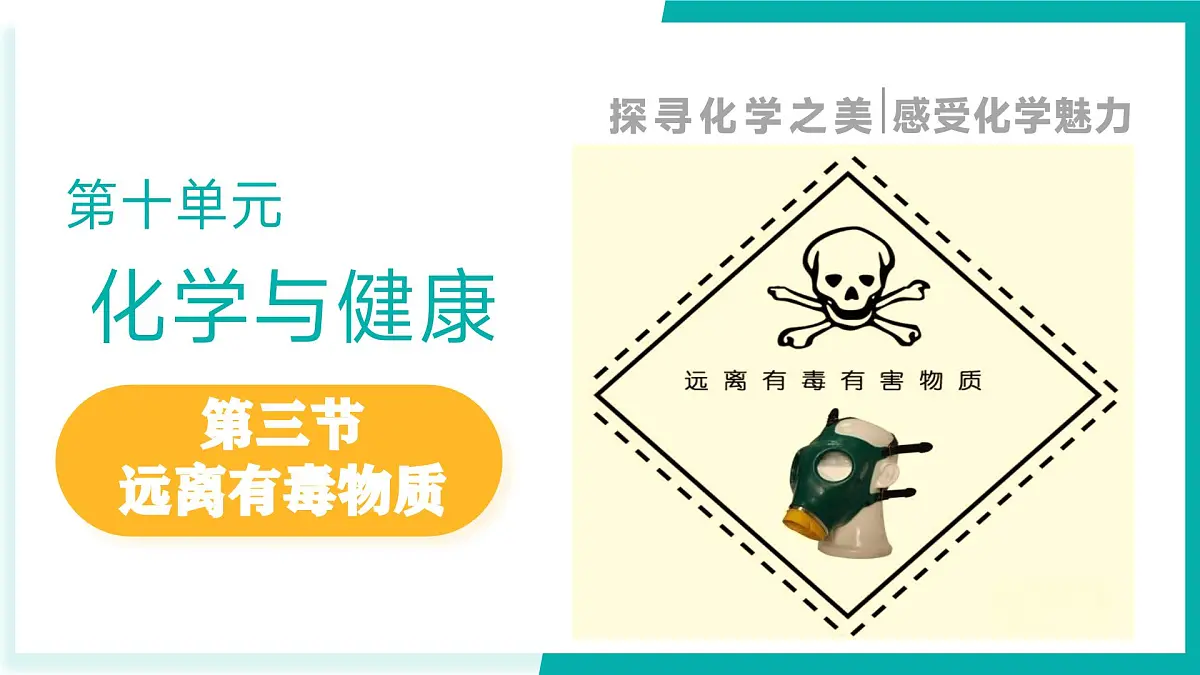 第三节 远离有毒物质（同步课件）-2024-2025学年九年级化学下册（鲁教版2024）第1页