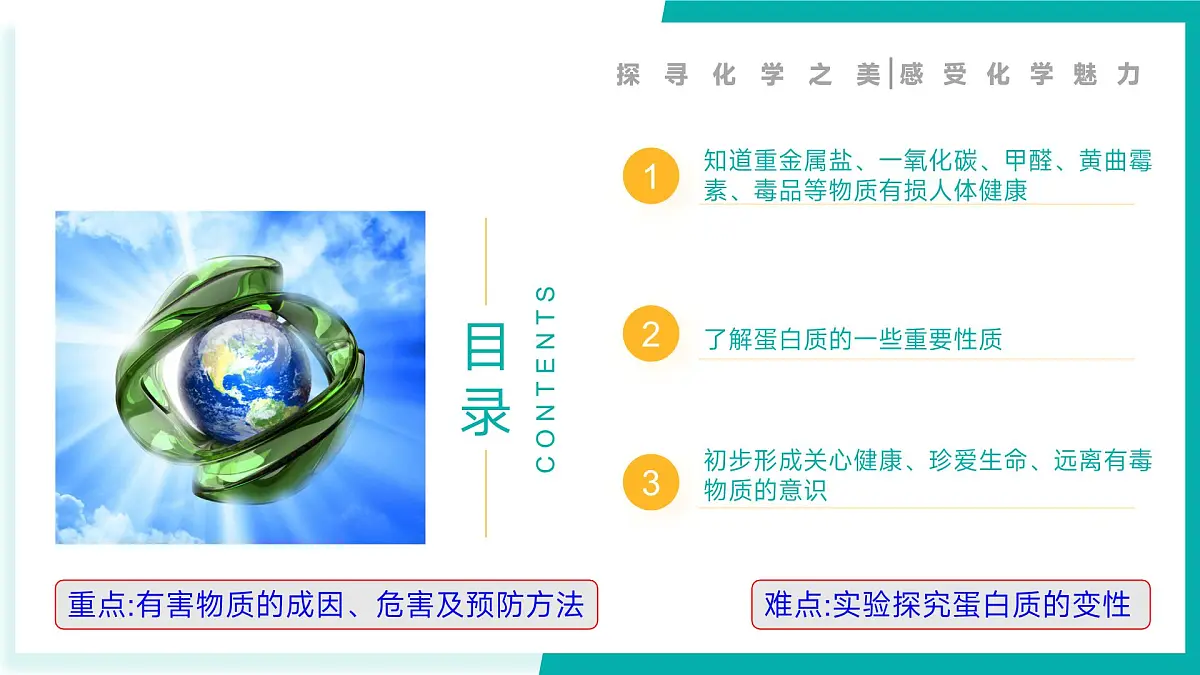 第三节 远离有毒物质（同步课件）-2024-2025学年九年级化学下册（鲁教版2024）第2页