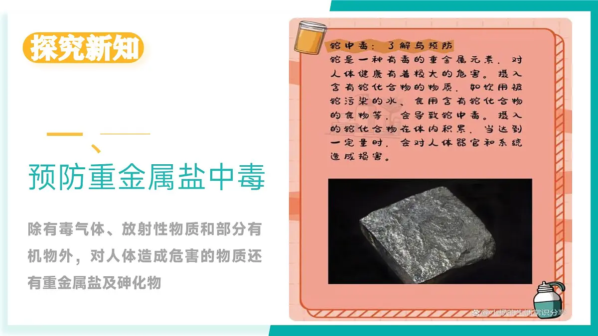 第三节 远离有毒物质（同步课件）-2024-2025学年九年级化学下册（鲁教版2024）第4页