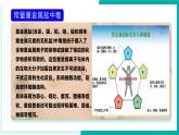 第三节 远离有毒物质（同步课件）-2024-2025学年九年级化学下册（鲁教版2024）