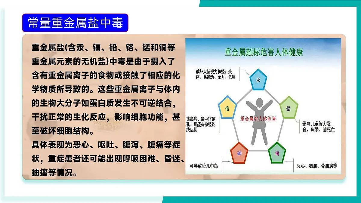 第三节 远离有毒物质（同步课件）-2024-2025学年九年级化学下册（鲁教版2024）第5页