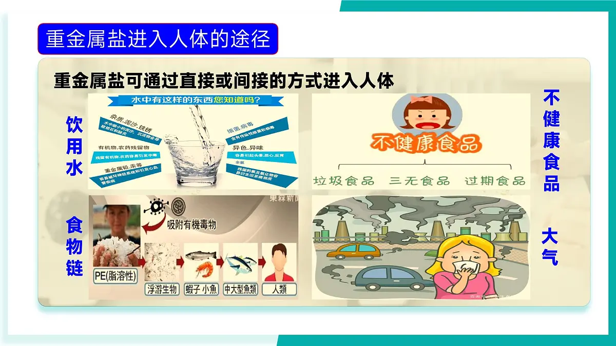 第三节 远离有毒物质（同步课件）-2024-2025学年九年级化学下册（鲁教版2024）第6页
