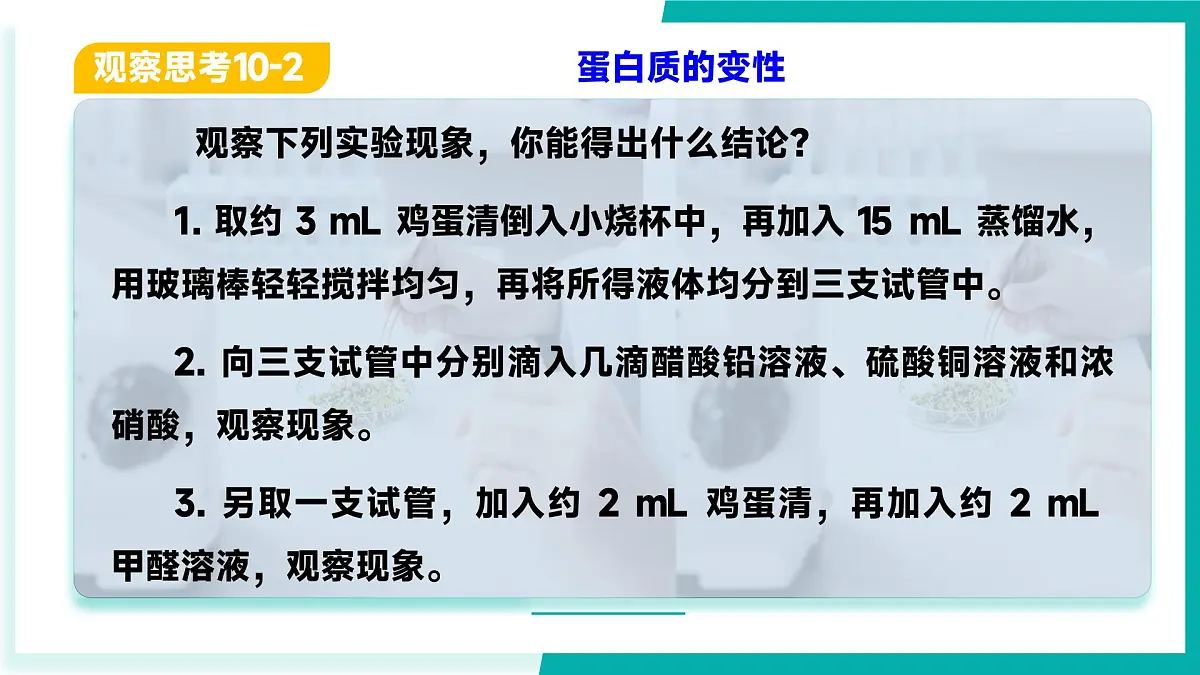第三节 远离有毒物质（同步课件）-2024-2025学年九年级化学下册（鲁教版2024）第7页